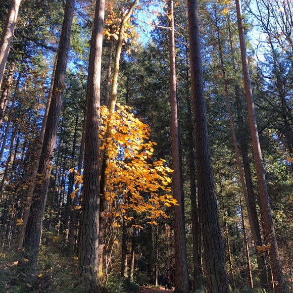 Meet your Posher, Charlotte - Picture 1 of 1